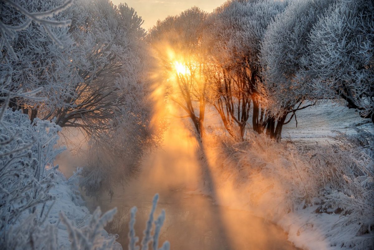 Погода на неделю: до -19°С к середине недели, к выходным снова около 0°С