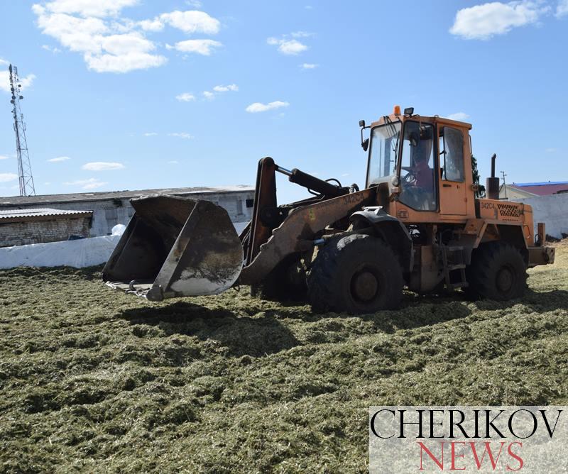 Более 10 000 тонн сенажа заготовили в Чериковском районе