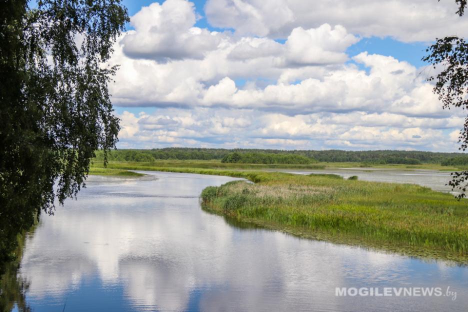 Более 490 водоемов насчитывается в Могилевской области