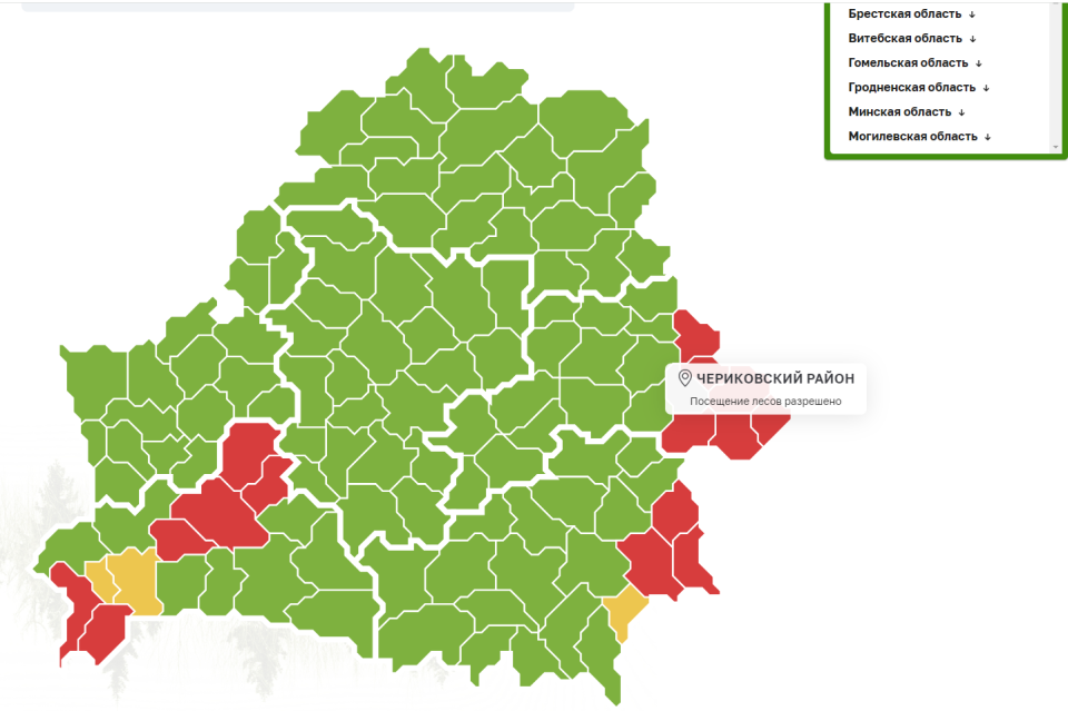 Посещение лесов разрешено в 42 районах Беларуси