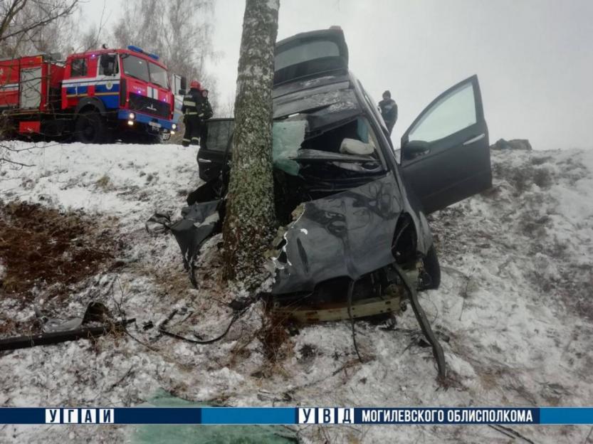 В ДТП в Чаусском районе погиб водитель Subaru